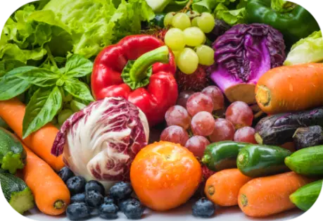 Descubre la cocina vegetariana con nosotros: Un menú que transforma ingredientes frescos en obras maestras culinarias saludables